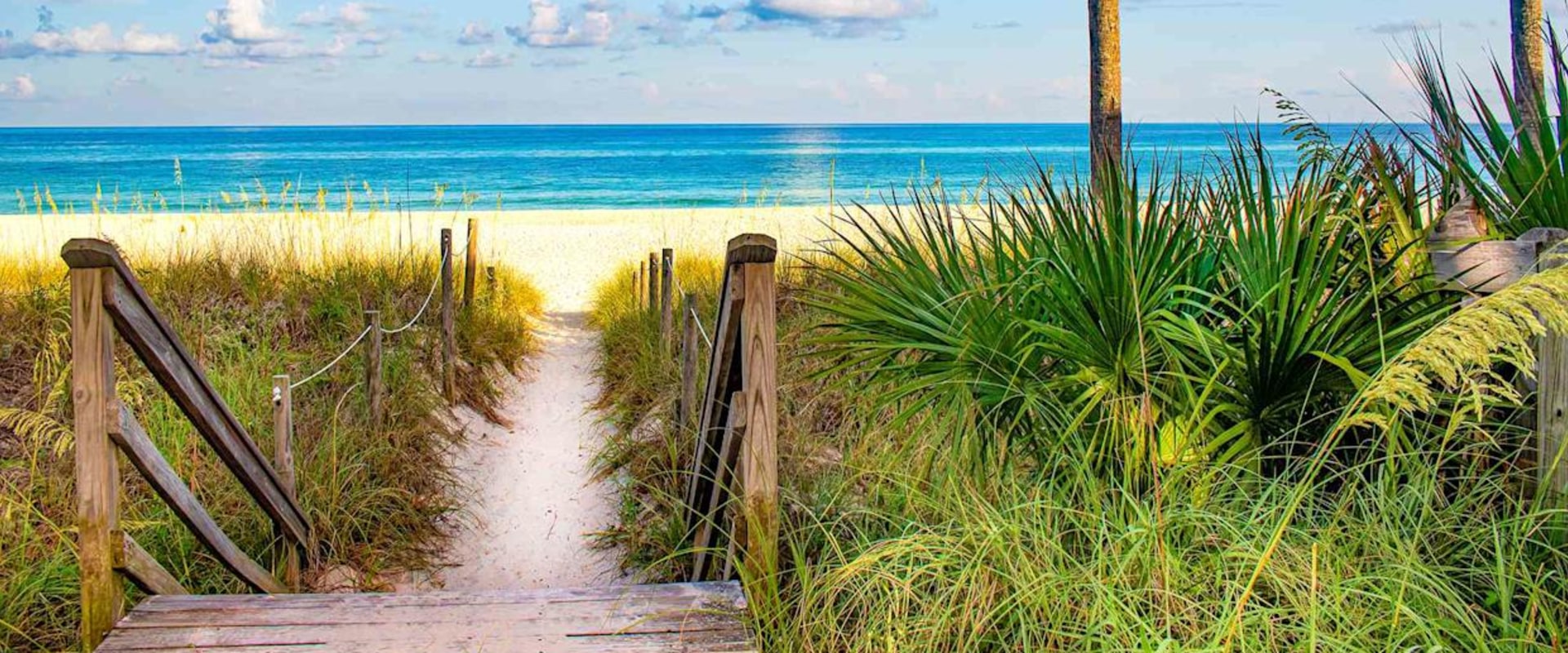 The Best Lake Worth Beach Movers Service: Expert Insights